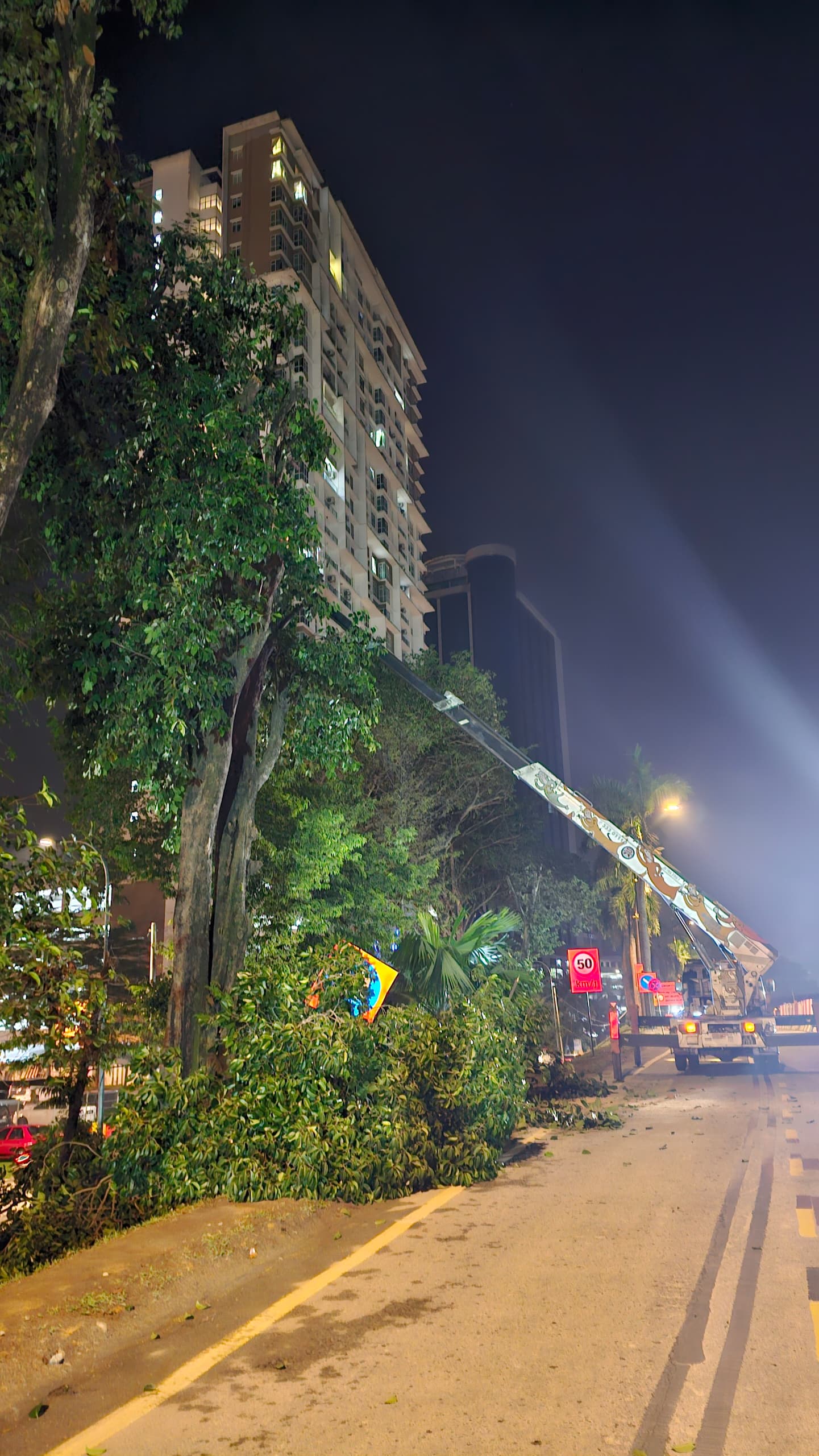 Removing Biggest Rain Tree Ever in Johor Bahru