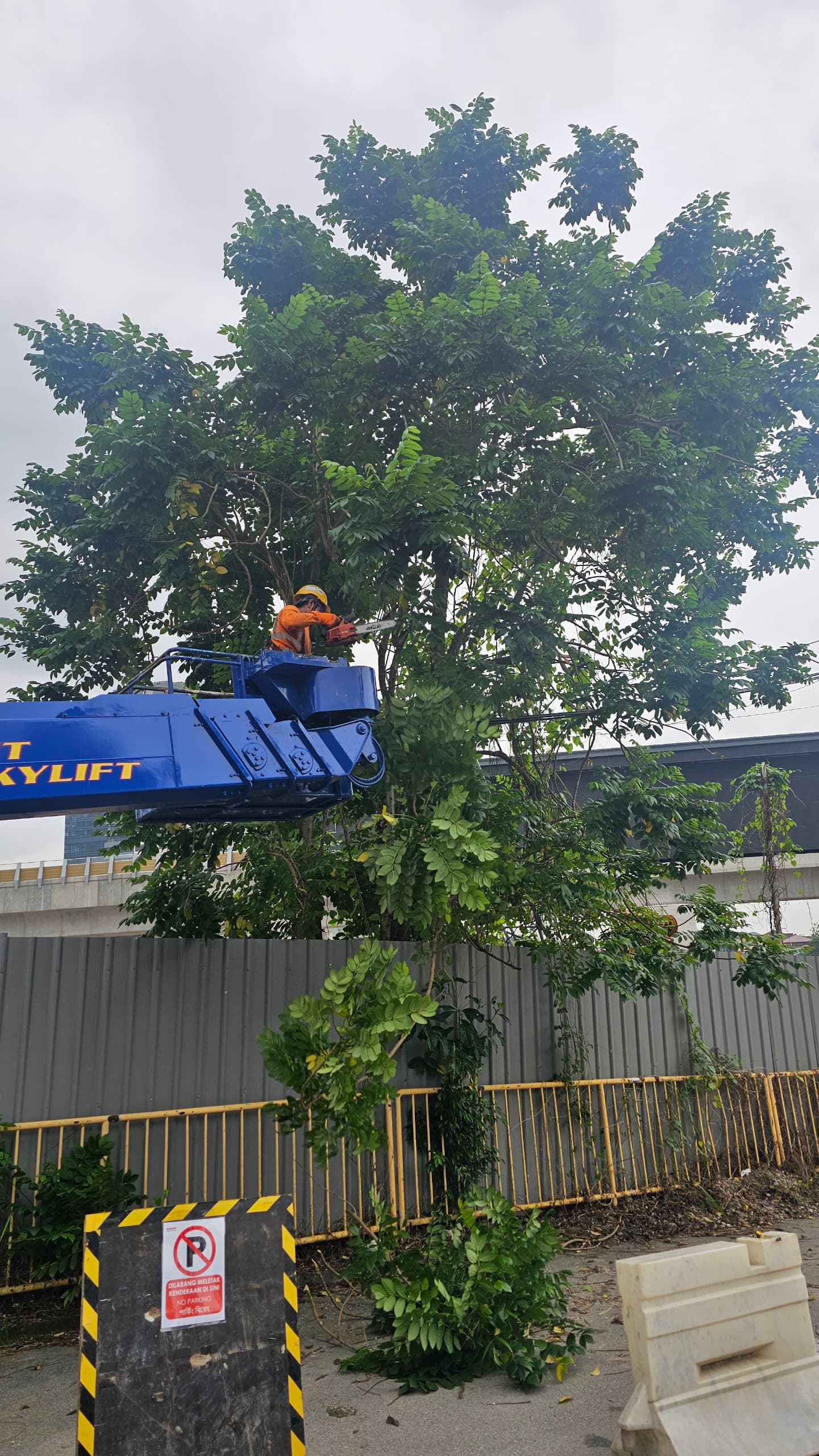 (SKYLIFT VIEW) Full Recorded Removing Tree Using Skylift by Johor bahru Tree Cutting Services