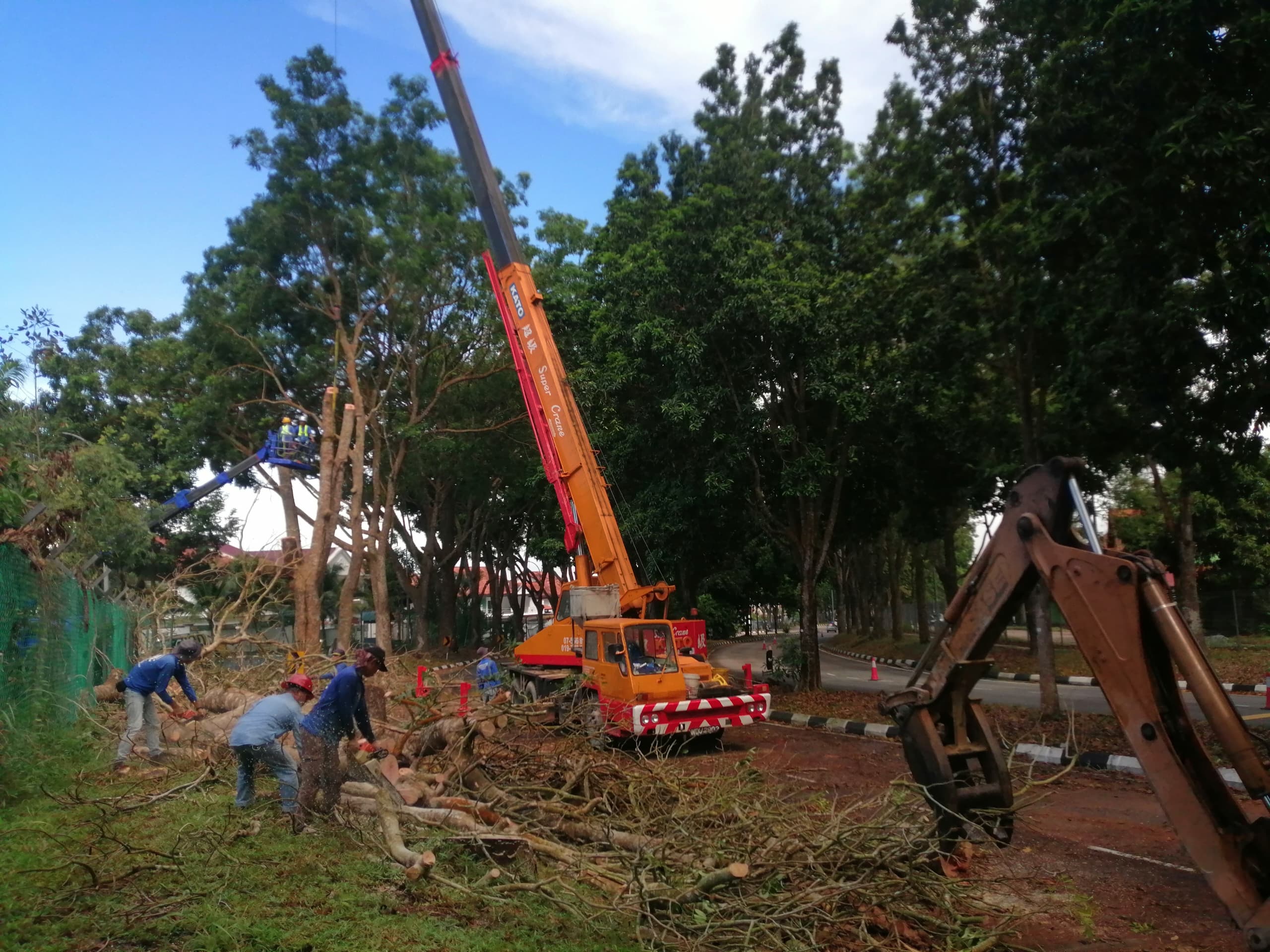 Removing & dispose dead and dried Khaya Tree using Skylift, Backhoe Grab, Skylift & Roro Bin in Taman Pelangi Indah, Tebrau, Johor bahru Johor