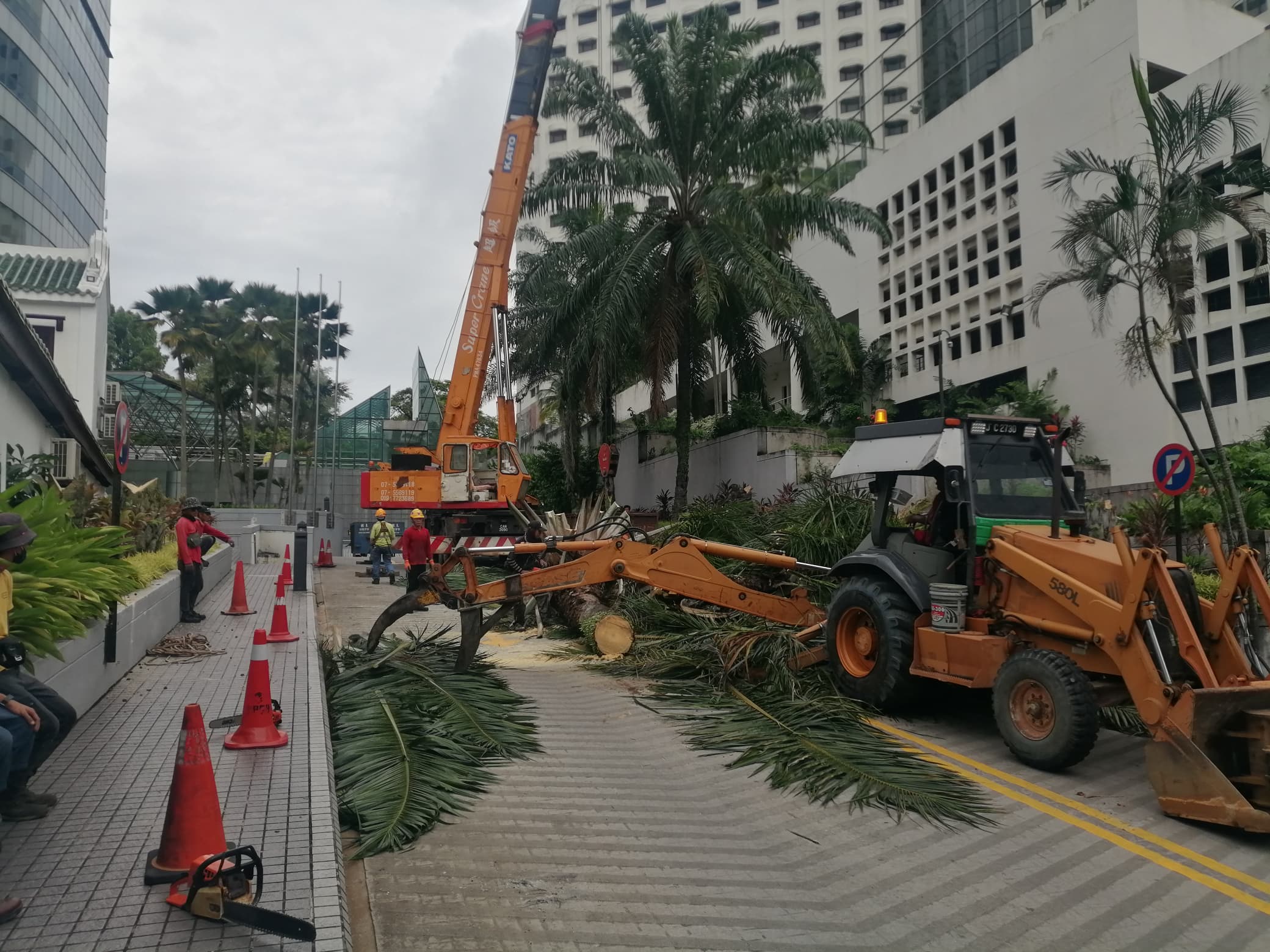 Removing all Palm Oil Trees along walkway at Menara Ansar Johor Bahru using skylft, backhoe, mobile heavy crane