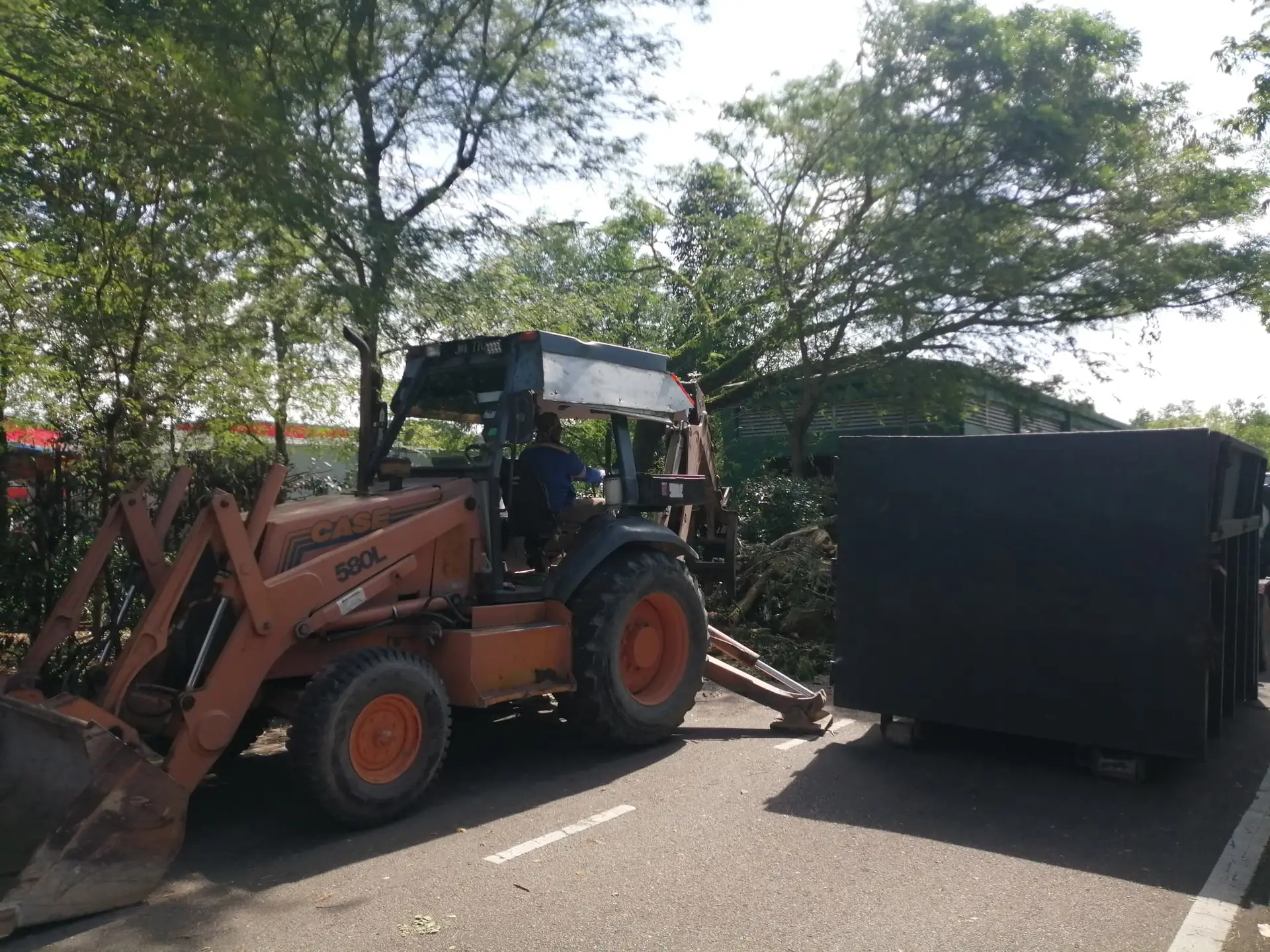 Backhoe Grab & Roro Bin at Legoland Malaysia for disposing tree waste after cutting process